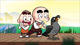 【唐唐】涨知识！鸟中杀马特凤头海雀
