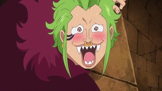 Bartolomeo, penggemar terbesar Luffy!