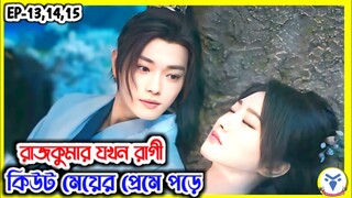 Part 9 | রাজকুমার ও সাধারণ মেয়ের ভালোবাসার গল্প | Wonderland of love Explain in Bangla