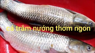 Ẩm thực Biển làm.cá trắm nướng.ướp gì vị hạt mác khén rất thơm ngon