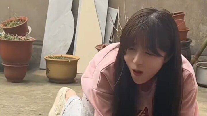 黄毛这版本还是太强了