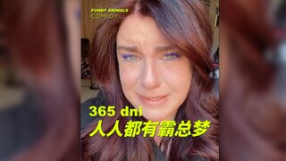 我只是有一个霸总的梦而已，为什么这么难呢！