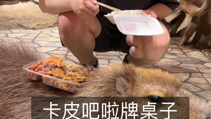 Experience Being a Capybara Keeper for a Day
