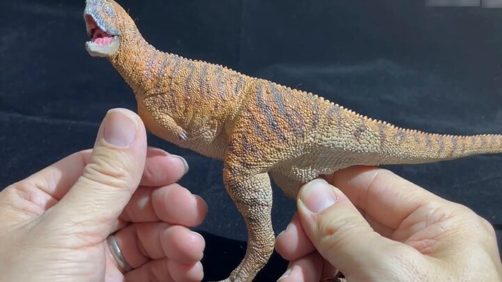 Microraptor Model Review: PNSO Carnotaurus