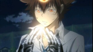 【Gia sư】Sawada Tsunayoshi, He Ranxiang Mixed Cut