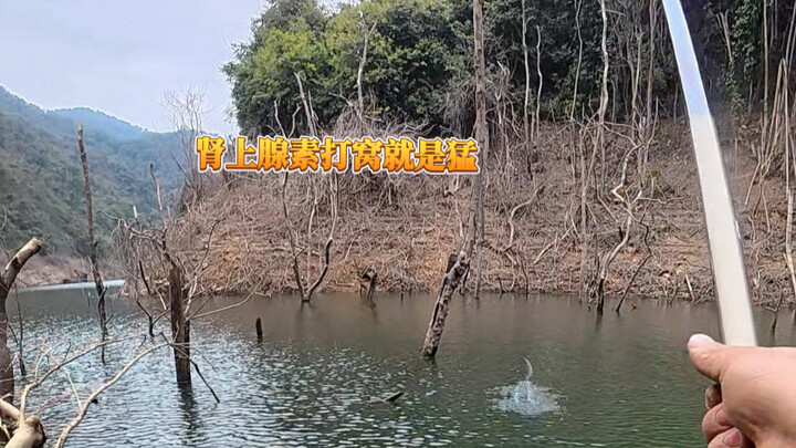 Kỹ thuật câu cá của tà tu: Gây kích thích bằng adrenalin để nhử cá