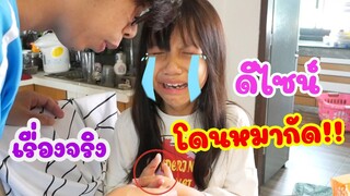 ดีไซน์โดนหมากัด!!  สายไหมกัดดีไซน์ (เรื่องจริง) อุทาหรณ์สอนใจ