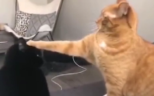 Soul-Stealing Great Technique