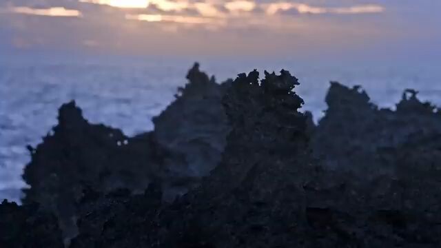 Gigantic Robber Crabs on Christmas Island  Documentary