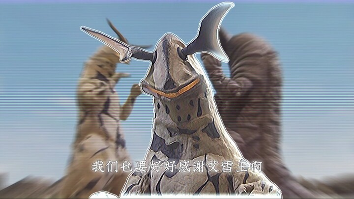 致最重情重义的水中王者—艾雷王