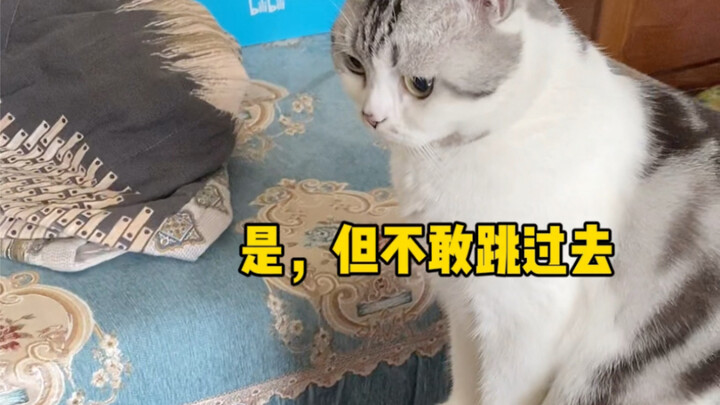 She actually gets it! She’s seriously too smart, haha!