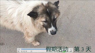 假期活动[第3天]
