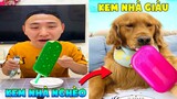 Thú Cưng Vlog | Đa Đa Đại Náo Bố #6 | Chó Gâu đần thông minh vui nhộn | Smart dog golden pets