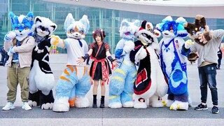 Chengdu Comic Exhibition - Let’s Grab Maomao and Dance Together: “God Goes with the Flow”, advance v