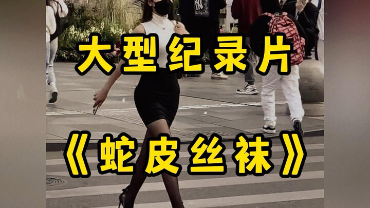 Documentary Series “The Allure of Snake-Skin Stockings on My Husband”