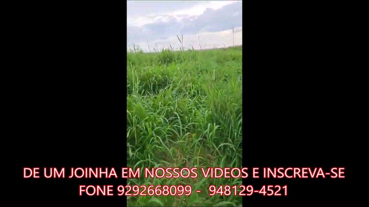 FAZENDA COM  214 ALQUEIRÃO A VENDA cmc