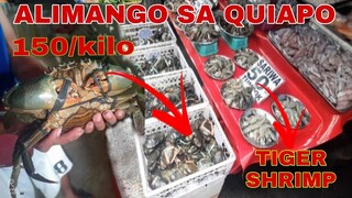 MURANG ALIMANGO AT HIPON SA QUIAPO | MURANG BILIHIN SA QUIAPO