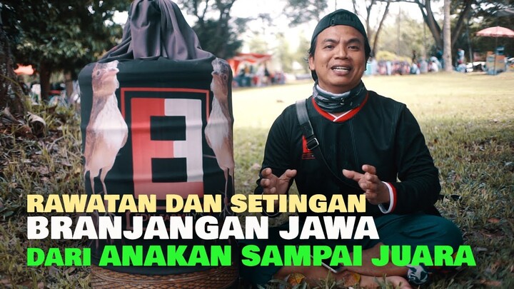 BRANJANGAN SUPERNOVA TAMPIL CIAMIK DI PREMIER OF JAVA, BEGINI RAWATAN DAN SETINGANNYA