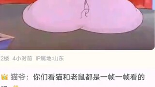 PVZ สามารถเล่นในทีมแมวและหนูได้หรือไม่?