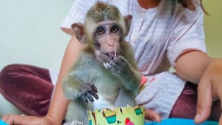 Wow, So Tasty!! Little adorable Toto really loves eating sweet cake