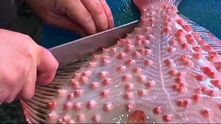 Kalkan Baligi Ikan Pipih Mewah dari Laut Turki