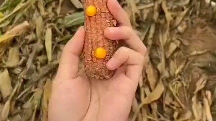 An optimistic attitude is most important