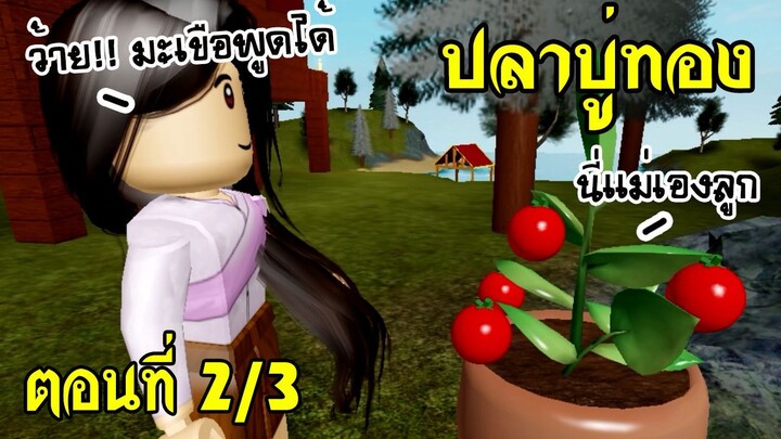 นิทาน Roblox เรื่อง ปลาบู่ทอง ตอนที่ 2/3