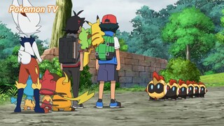 Pokemon (Short Ep 73) - Thu phục Tairetsu #pokemon