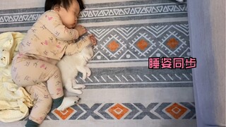 【布偶猫】小奶猫把人类幼崽当作同胞，睡觉也要挤在一起