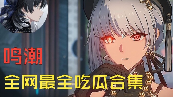 [Mingchao Gossip] All the Mingchao Scoops You Need! Uncovering Mingchao’s Big Controversy!