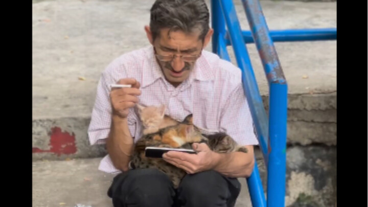 رجل جذاب يقضي الوقت مع القطط