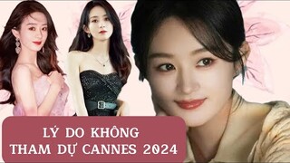 Lý Do Triệu Lệ Dĩnh không tham dự Liên hoan phim Cannes 2024