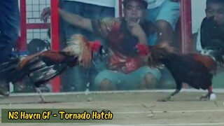 NS Haven GF #TORNADO Hatch 1ST Fight - WIN‼️‼️                 (Magilas Cockpit Victoria, Mindoro)