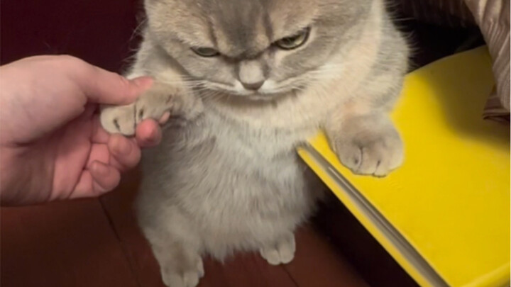 แค่ไม่ชอบอาบน้ำ