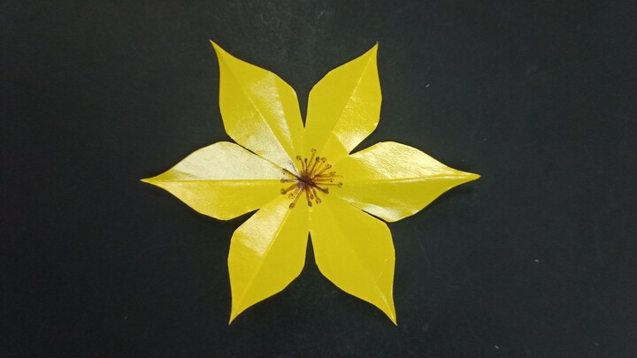 Unfolding a Flower: The Magic of Symmetry