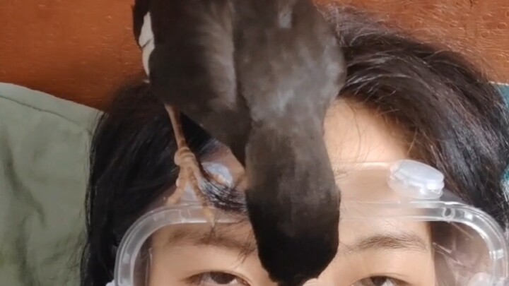 Jelaskan alasan saya memakai kacamata pelindung