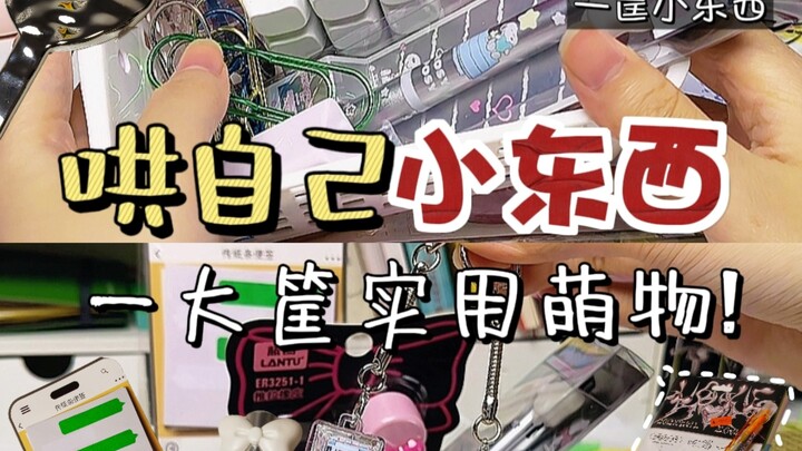 School Vibes: My Little Cuteness Essentials ✨ A Whole Basket of Super-Useful Kawaii Goods to Share‼️