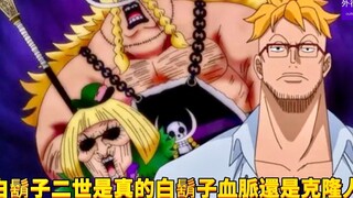 白胡子二世是真的白胡子儿子还是克隆人？#566