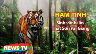 HẠM TINH: Sinh vật bí ẩn tại vùng Thất Sơn An Giang