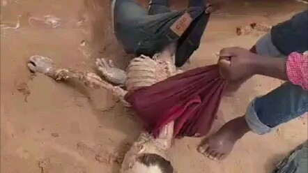 A complete skeleton was salvaged 💀