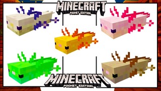 I Tried Axolotl Mod in Minecraft Pocket Edition 1.16
