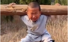 يتحوّل الفتى إلى هاو جينغ بعد أن عجز عن تحمّل سوء المعاملة