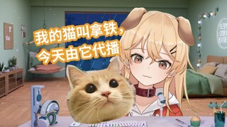 面捕可以识别猫猫的脸吗？