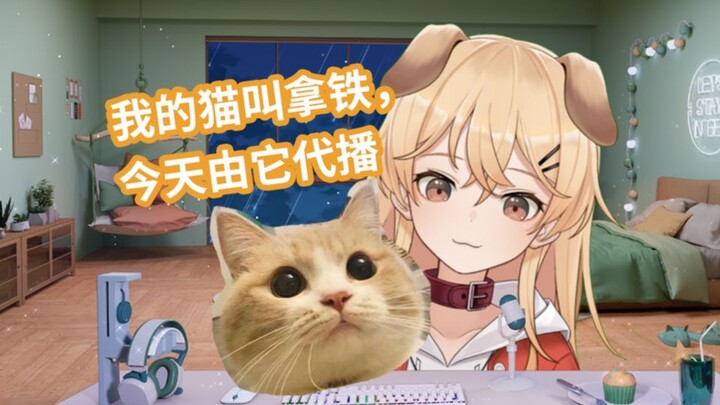 面捕可以识别猫猫的脸吗？