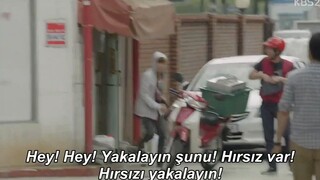 Descendants of the Sun