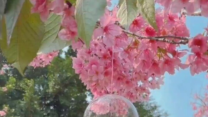 How my friends see me vs how DD sees me