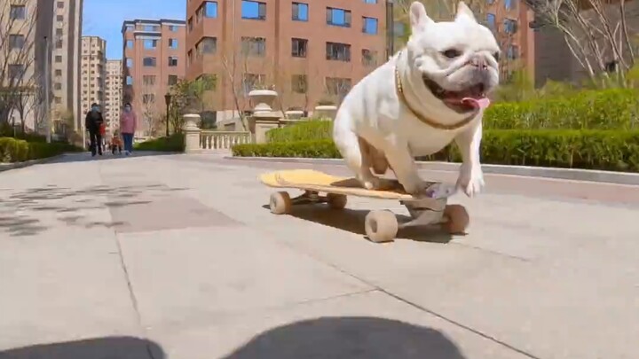 Ketika seorang pemain skateboard bertemu dengan seorang pemain skateboard | Perang akan segera pecah