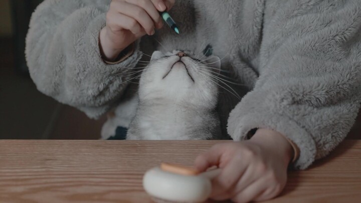 Sikap berani! Jangan sentuh bulu si Mimi! Tapi kalau dibuat jadi syal juga lumayan kok 😎😎