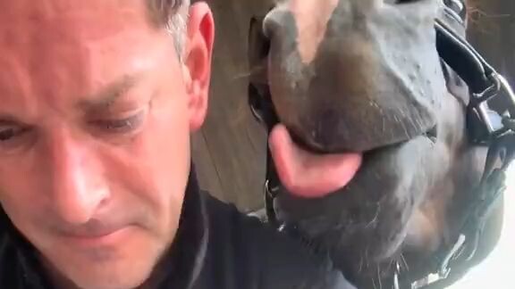 Who could possibly stand this?