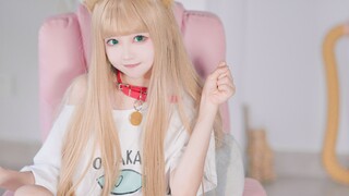 Tuan! Lihat nih, kucingmu berubah jadi gadis cantik~ | Ketergantungan pada kucing nih~